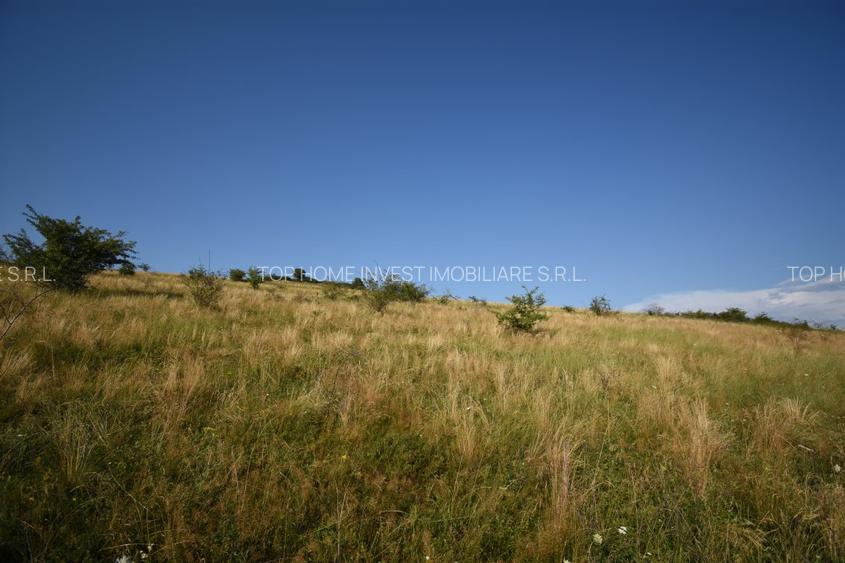 Oportunitate de investitie! Teren extravilan Chinteni! - 2