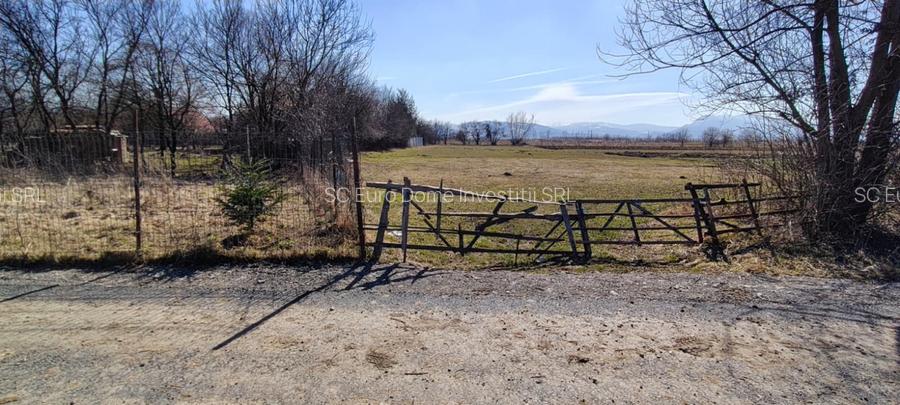 Lot de teren generos in zona linistita si usor accesibila - 3