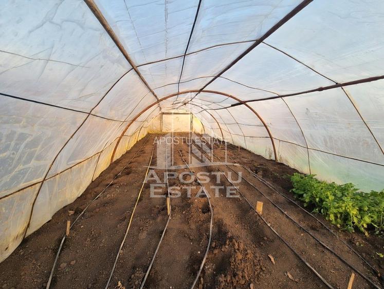 Casă individuală cu etaj, teren 3000 mp, grădină și solar – Satchinez - 3