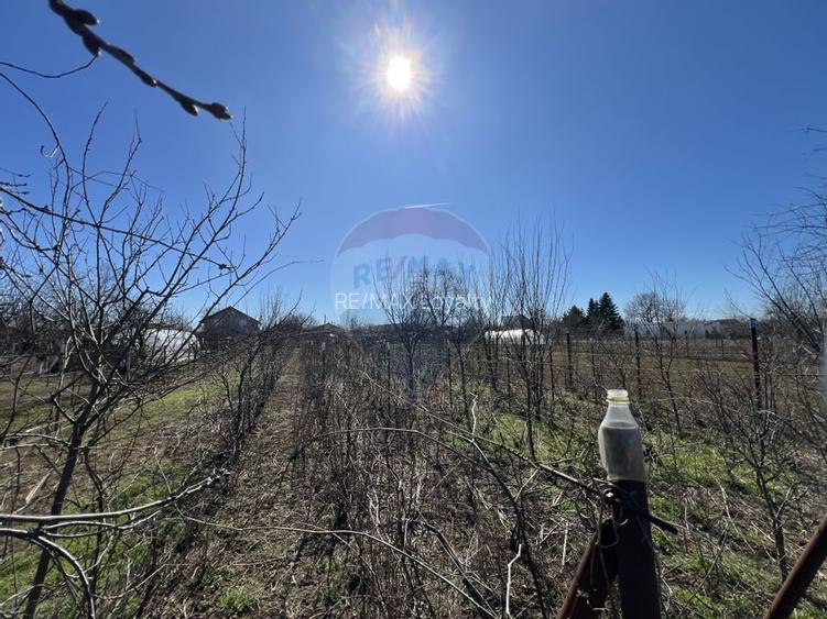 Oferta! Vand casa pe teren mare la pret excelent - Gruiu IF - 6