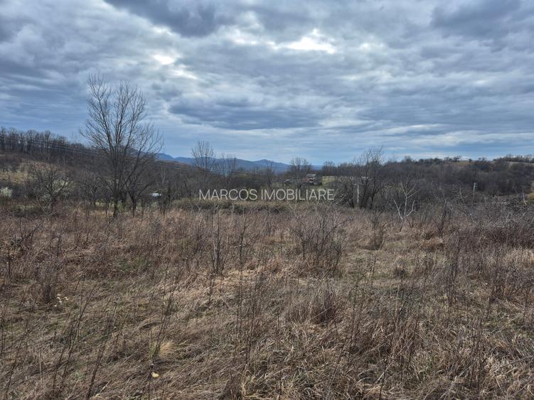 Vand 2 parcele de 5700 mp zona Iabalcea - 4