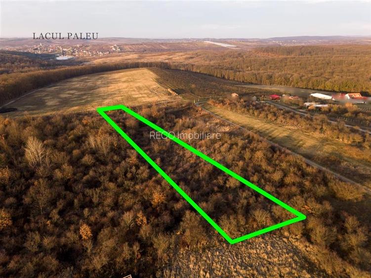 Reco Teren intravilan in Saldabagiu de munte 4333MP - 2