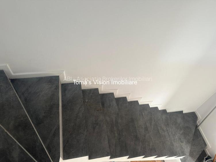 Vanzari Case / vile ILFOV - NORD ODAILE - 11