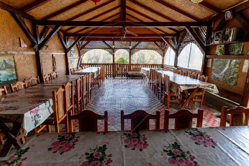 Casă / Vilă de vânzare in Cristur jud.Hunedoara - 23