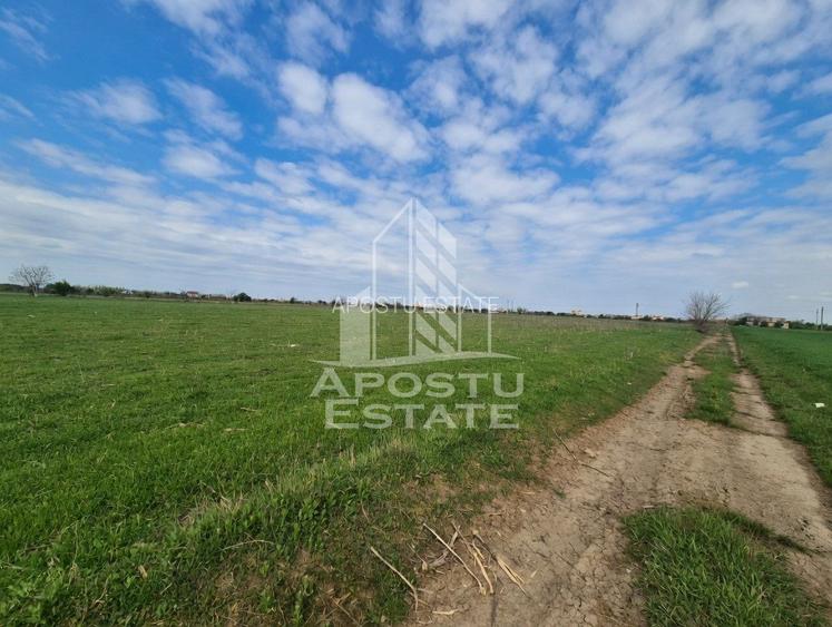 Teren intravilan de vânzare – Sânnicolau Mare, județul Timiș - 6