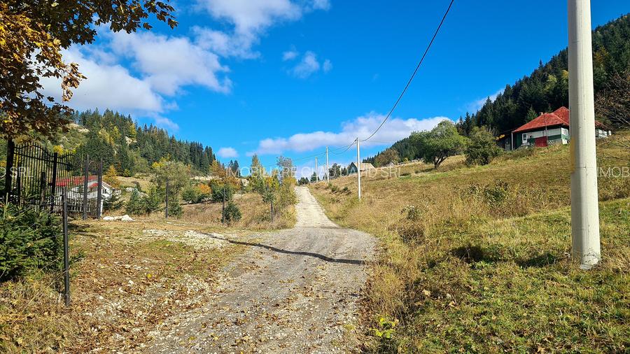 TEREN INTRAVILAN-EXTRAVILAN SPECTACULOS LANGA RESORTUL CHEILE GRADISTEI -FUNDATA - 3