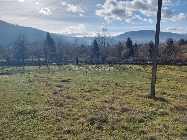 De vanzare teren intravilan 6500 mp Vama- Bucovina - 5