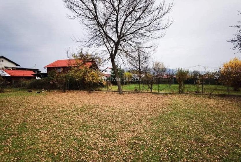 Ocazie rară / Teren central de 2100 mp pe Str. Victoriei, Breaza, Prahova  - 9