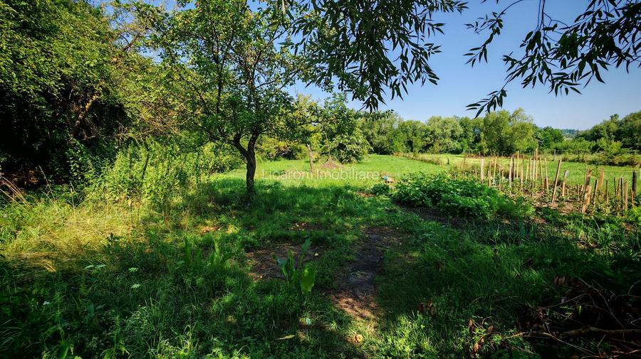 CASA SASEASCA comuna VULCAN,zona foarte buna,teren 3000 mp - 23