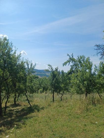 24.141 mp 1h30' de Bucuresti -  ideal casa sau complex retreat - 4