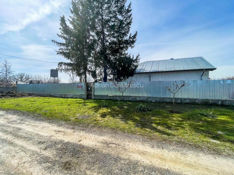 Mitreni-Valea Rosie-Acasa la Tara -4 camere-178 mp-LOT  1000 mp+Casa secundara - 29