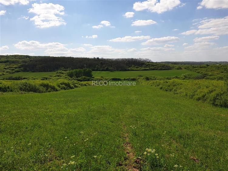 Teren extravilan Uileacu de Munte. - 3