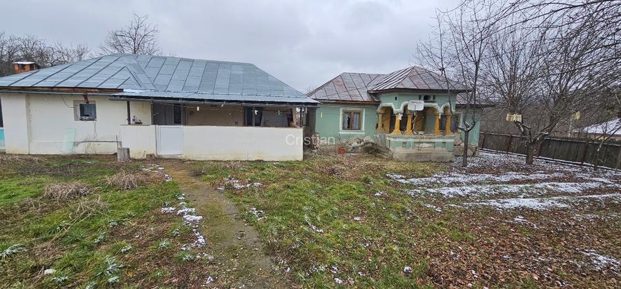 VÂNZARE MOȘIE – Sat Mitrofani, Comuna Mitrofani, jud. Vâlcea - 2