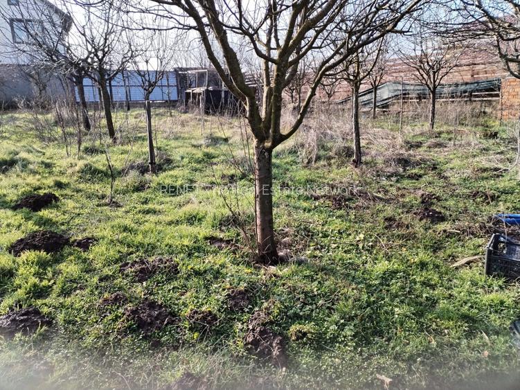 Teren intravilan 345 mp Vidra, deschidere 12 m, ideal pentru - 4