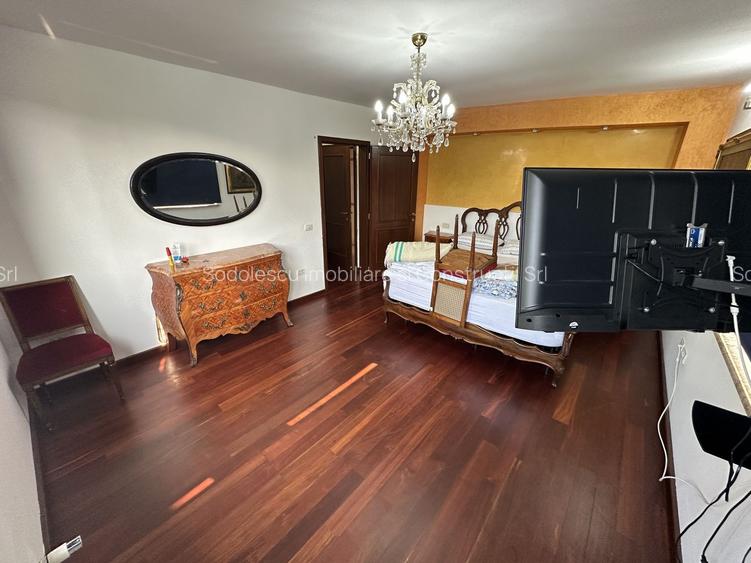 Proprietate cu piscina Dumbravita - 36