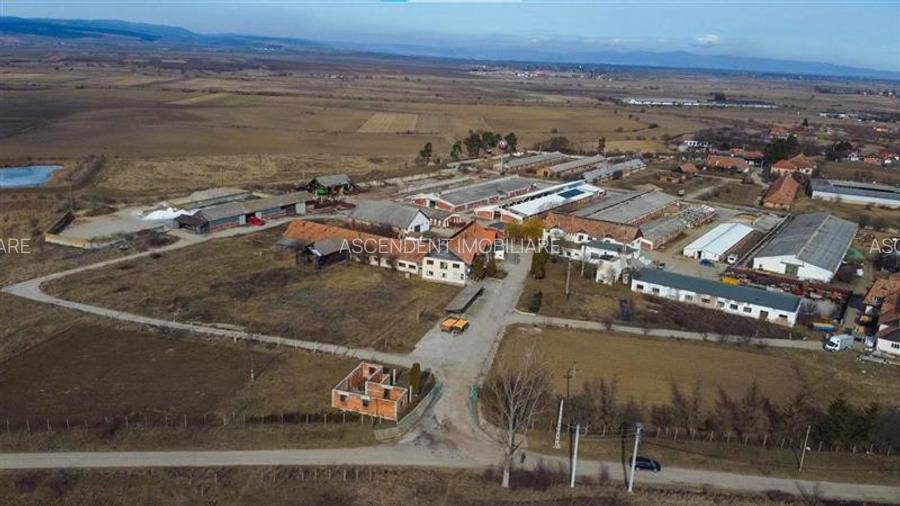 Ansamblu agrozootehnic cu renume,dotat +valoare exceptionala+potential versatil, - 43