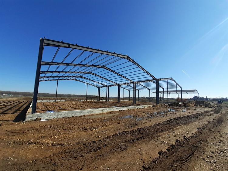 Hale de vanzare in Afumati - 7