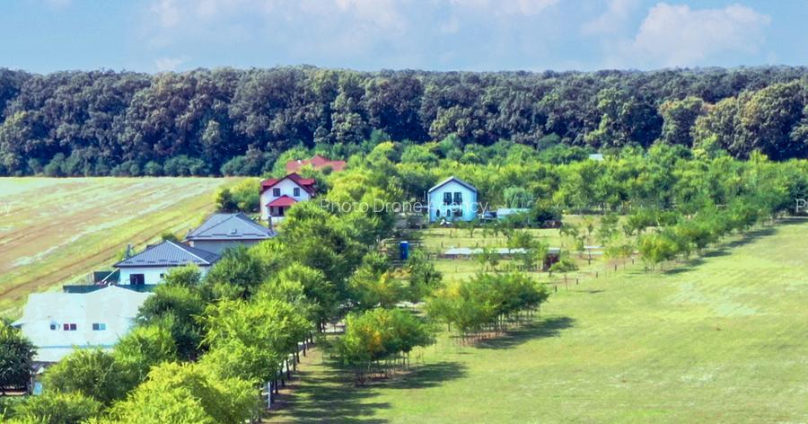 Teren de vanzare Strada Pădurii – „Un loc pe care nu îl alegi, ci te alege.” - 5