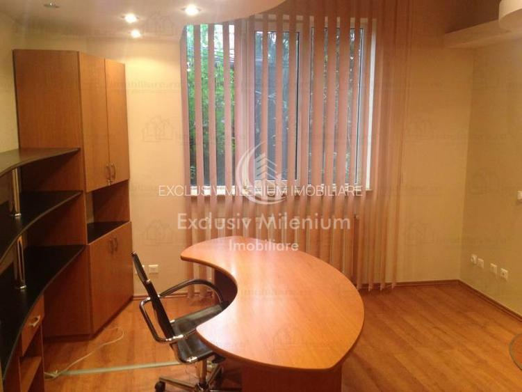 Parter Apartament la Vila Ideal Birouri Domenii - Banu Manta -Grivita - 3