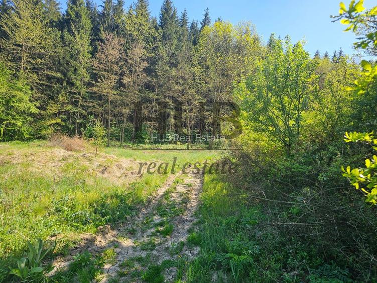 Teren intravilan | langa padure si parau | Luncani/Bacau - 2