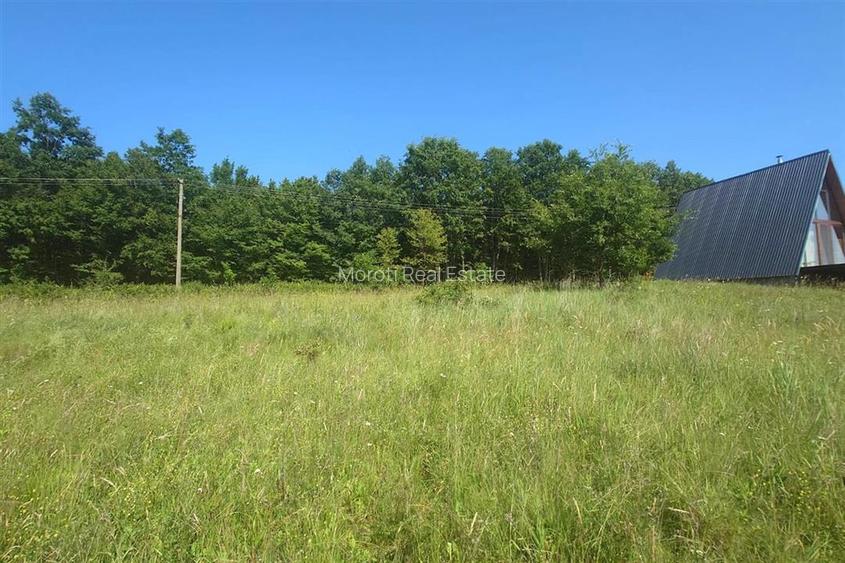 Teren intravilan de vanzare  in Luncoiu de Jos, sat Luncoiu de Sus, 3000 mp - 4