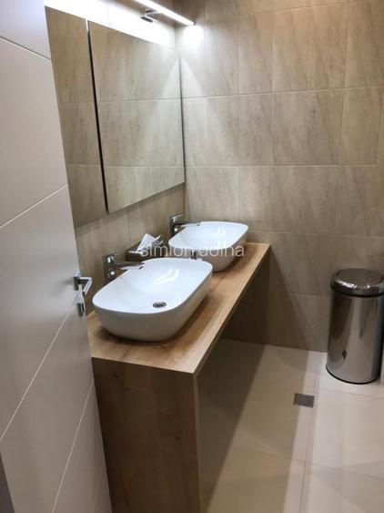 Birouri Titulescu 48- Piata Victoriei - 7