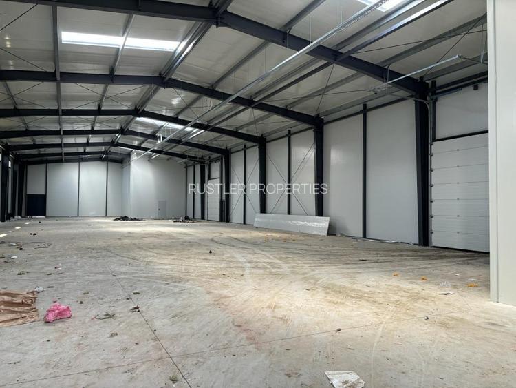 Hale de inchiriat Business Park Recon Mogosoaia 2 - 6
