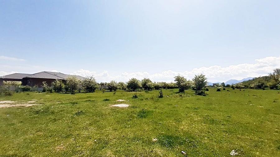 Sanpetru teren pentru dezvoltare imobiliara 4318mp, 55 euro/mp - 10