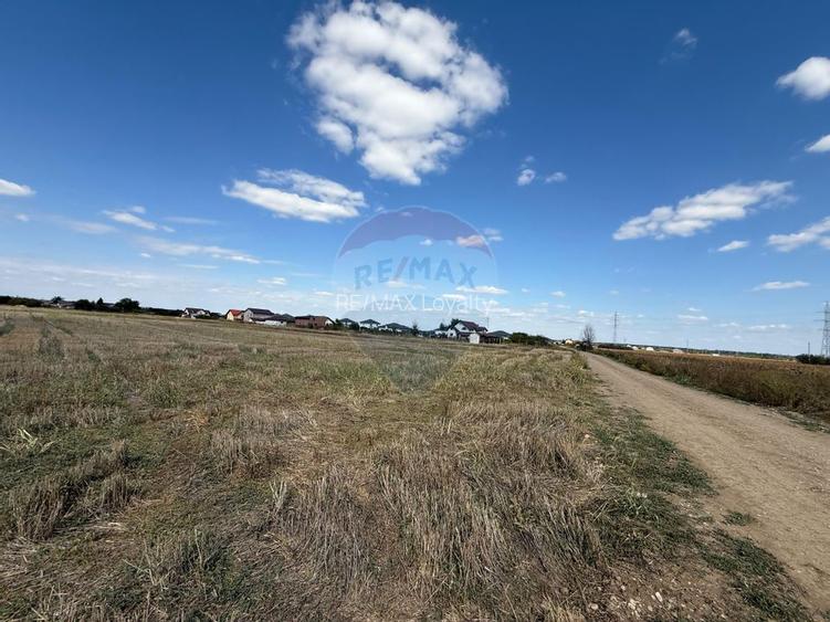 Vand teren intravilan 5000 mp in Sabareni - 8