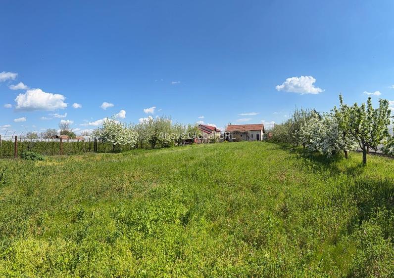 Vila de vacanta la 40 km/ 50 min de Bucuresti, Comuna Hotarele/ Jud. Giurgiu - 11