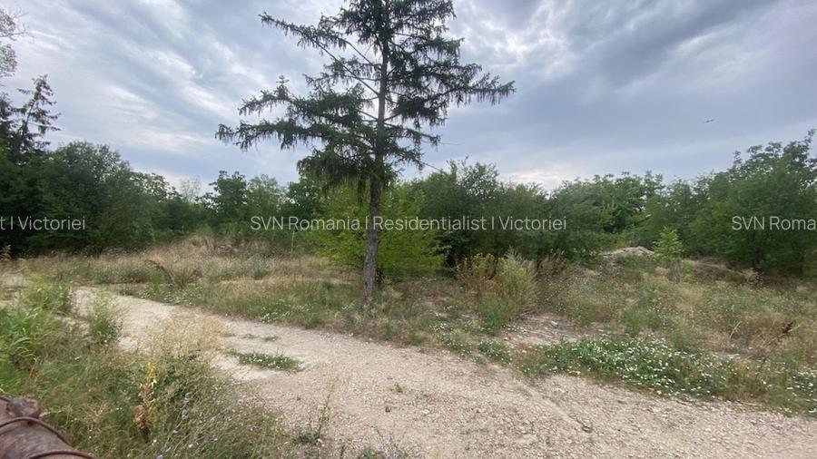 REL4001019 Teren 10 ha langa Kaufland si Crevedia Retail Park - 5