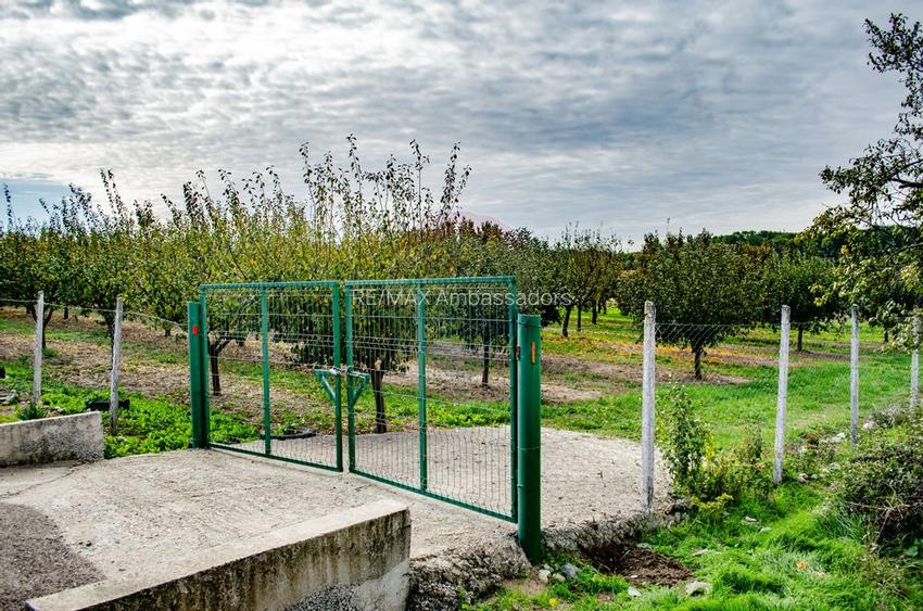 De vânzare teren cu livadă in Sârbova! - 6