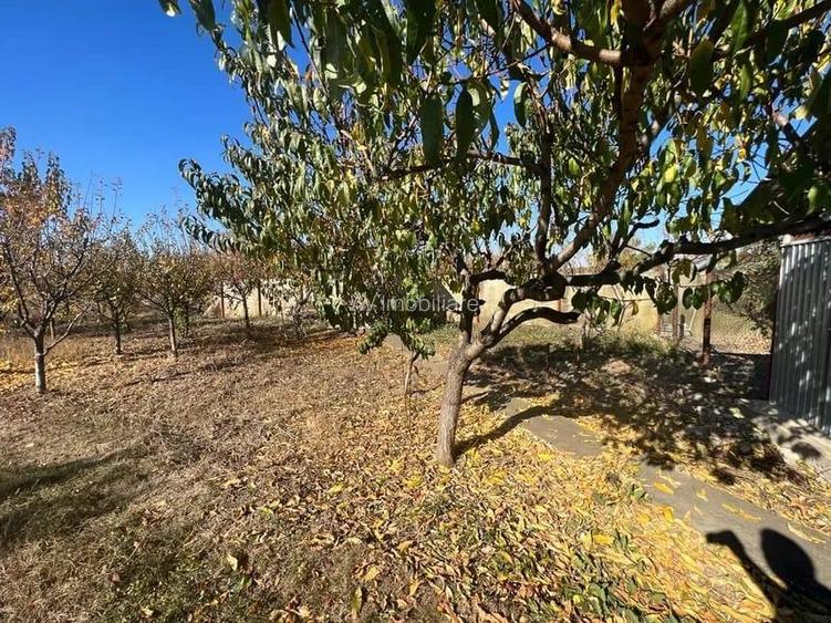 VANZARE CASA P+M PREDESTI PRAHOVA TEREN 1200 MP TOATE UTILITATILE - 7