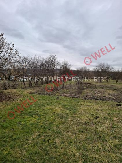 🏡 Casă de vânzare în Mitrești - 13