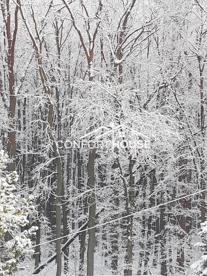 VILA D+P+E+M, 12 camere, piscina , padure, IANCU NICOLAE - 39