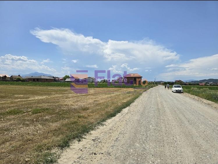 Teren intravilan de vânzare în Hărman, Brașov cu utilitati - 6