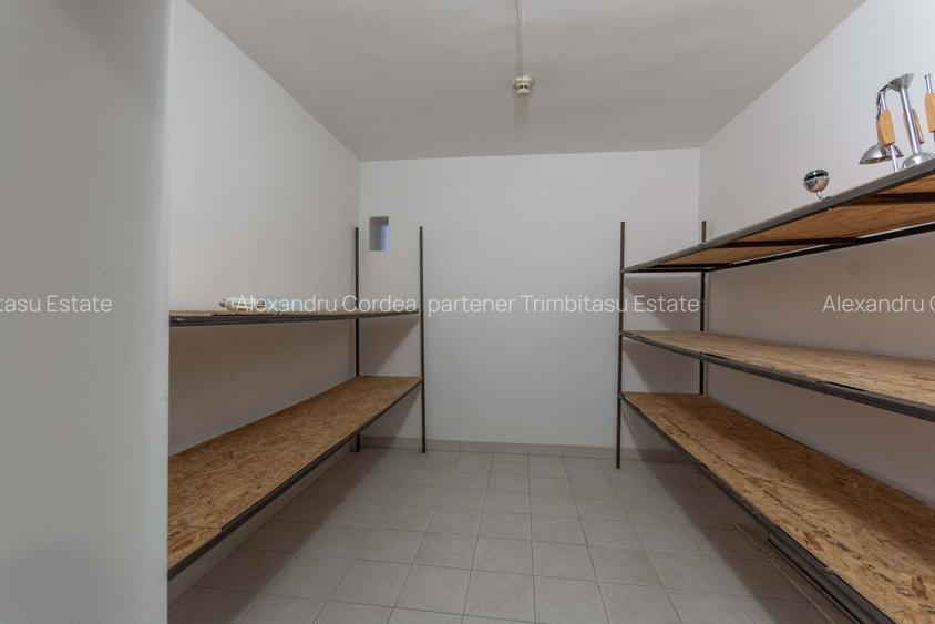 Aviatiei | Smaranda Braescu | Vila reprezentativa de inchiriat - 18