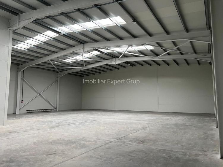 Hala depozitare si productie 595 mp , Chitila - Rudeni - 11