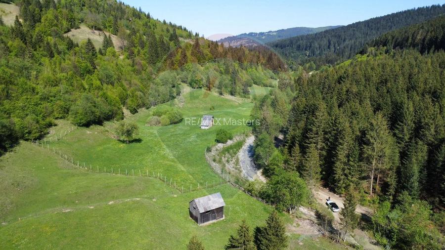 Teren 12,127mp Frasin / Drumul Forestier Valea Seacă - 13