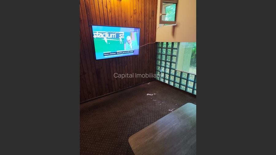 Vila superba 7 camere, Provita de Jos, 22.000 mp teren - 12