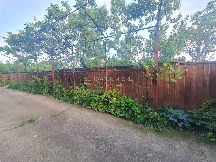 Casă cu 1100mp teren in satul Colun - la 40 km de Sibiu - 7