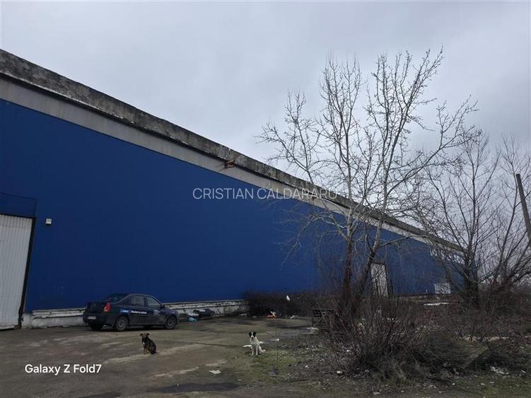 Vanzare spatiu industrial/hala/depozit Giurgiu - Port, Giurgiu - 14