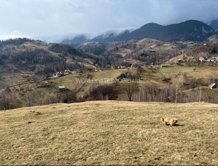Vanzare Teren cu Punct de Belvedere in Moieciu zona Magura-Pestera - 8