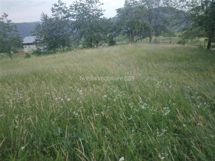 TEREN 2695 MP de vanzare in Statiunea TG OCNA - 3