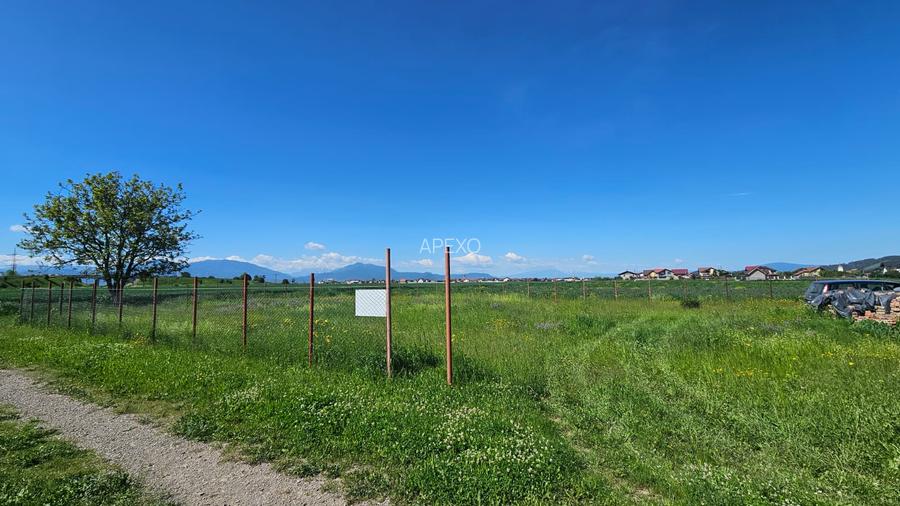 BRASOV - HARMAN - TEREN CONSTRUCTII 1062 MP TOTAL - 3