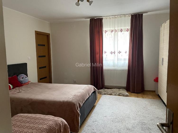 Casa de vanzare in localitatea Pustinis - 6