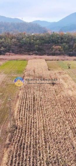 Teren intravilan de vanzare 5533 mp – Alexandru cel Bun - 8