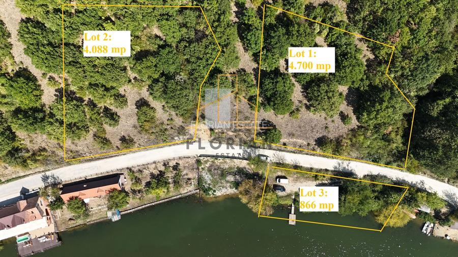 Teren la Eselnita,  Golful Mraconia - Statuia lui Decebal - 2