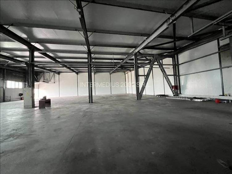 Hala de inchiriat in zona Mehala 1310 mp - 10