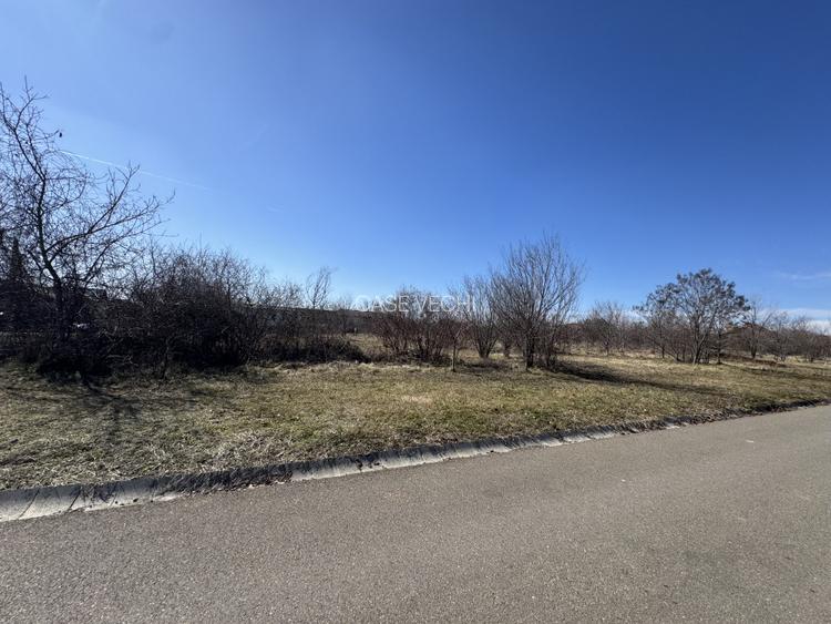 Cel mai bun teren din Paulesti - 9